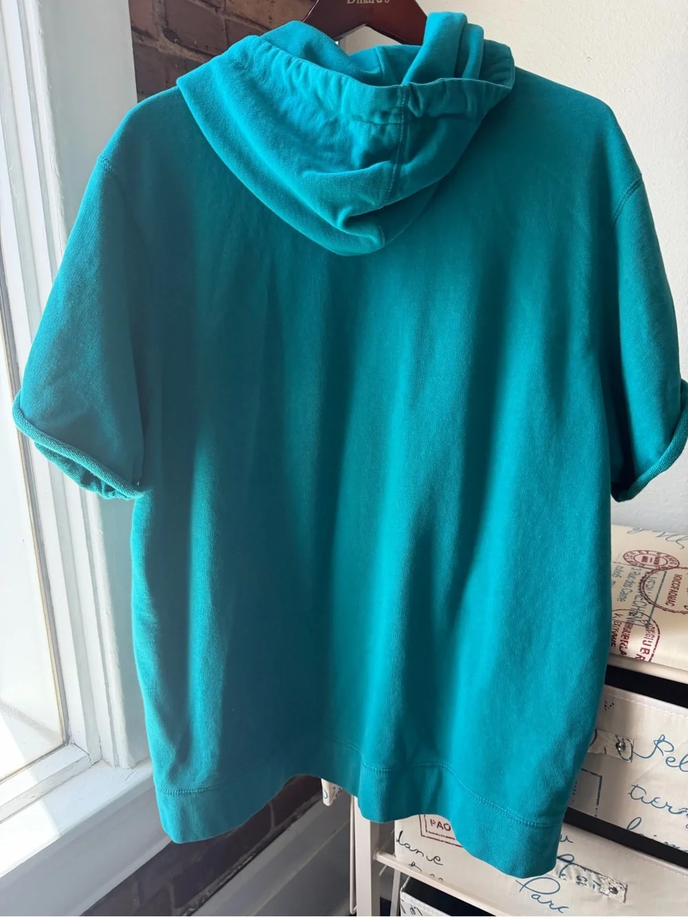 American Eagle Teal Embroidered Logo Short-Sleeve Hoodie